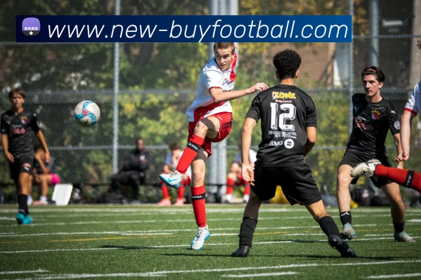 在线买球网站APP 高清赛事图