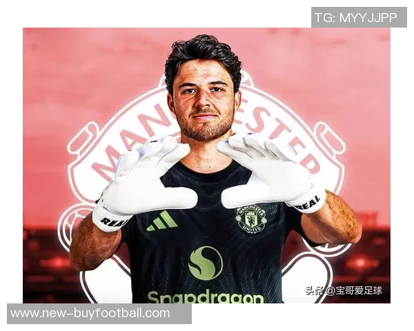 2025年英超俱乐部转会费支出榜揭晓利物浦以483亿欧元位居第一